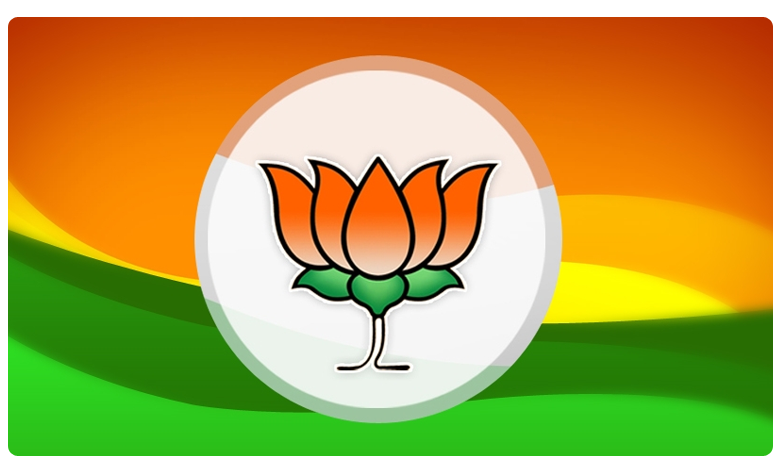 BJP Logo - Transparent PNG