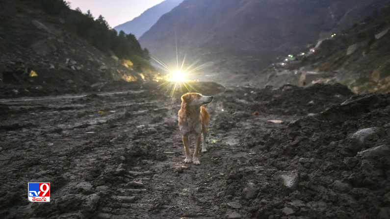 Uttarkhand Glacier Burst