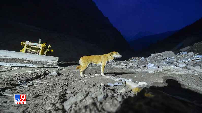 Uttarkhand Glacier Burst