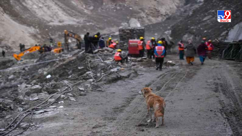 Uttarkhand Glacier Burst