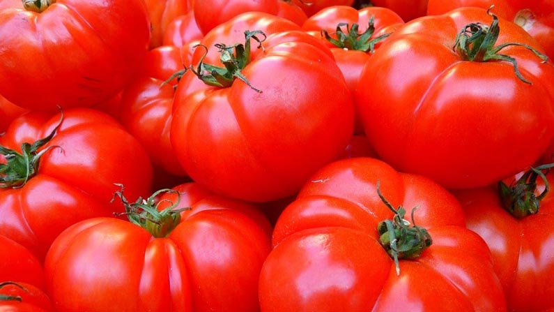 Vegetables3