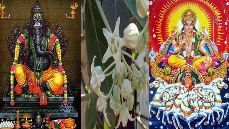 ganesh-surya