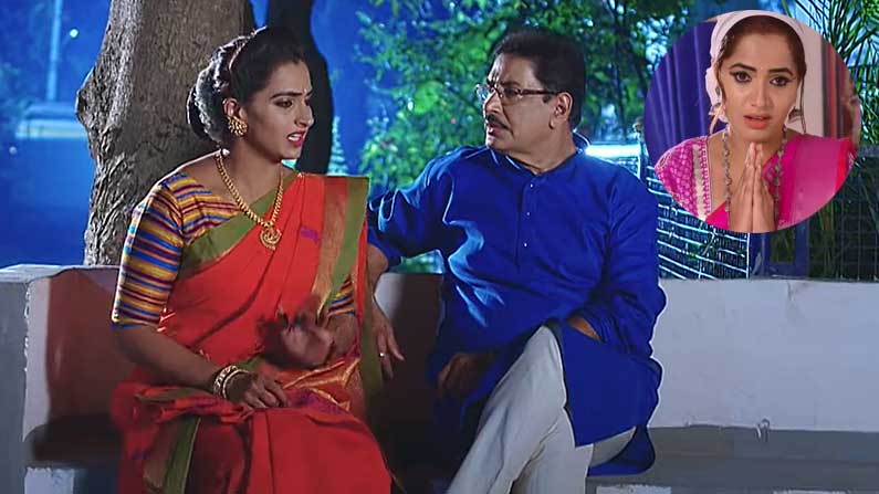 karthika deepam serial last episode