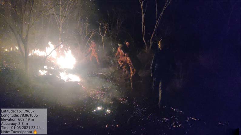 nallamala-forest-fire