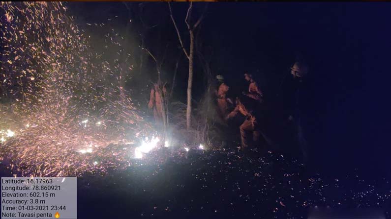 nallamala-forest-fire
