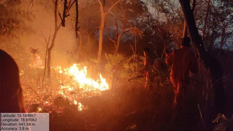 nallamala-forest-fire