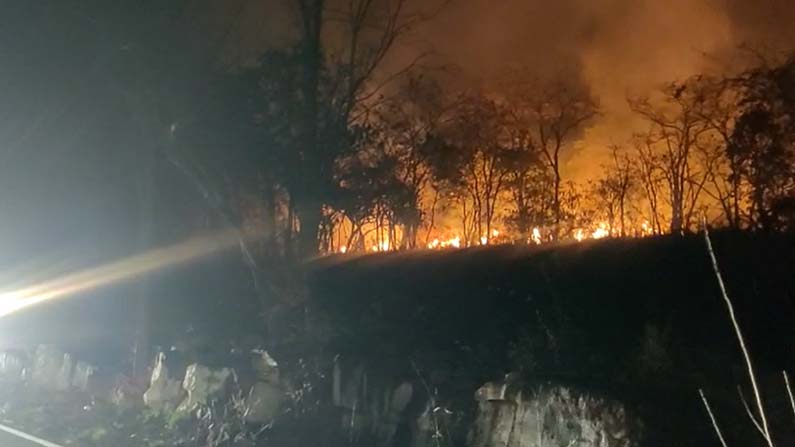 nallamala-forest-fire