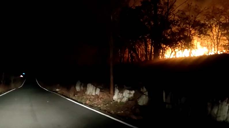 nallamala-forest-fire