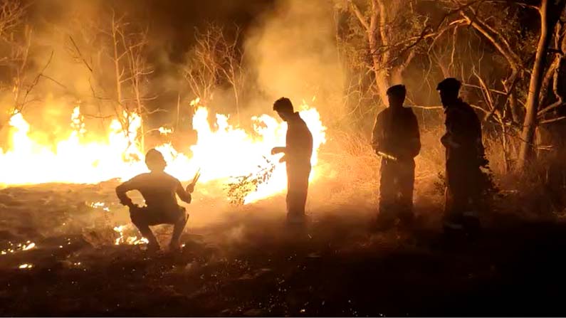 nallamala-forest-fire