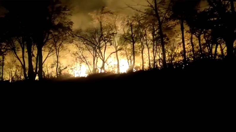 nallamala-forest-fire