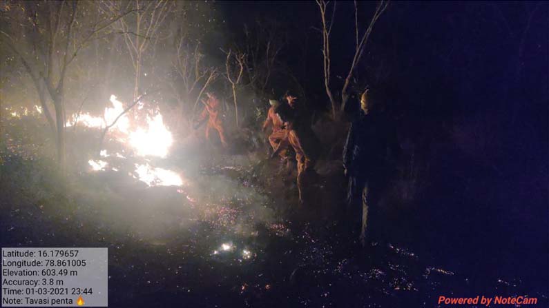 nallamala-forest-fire