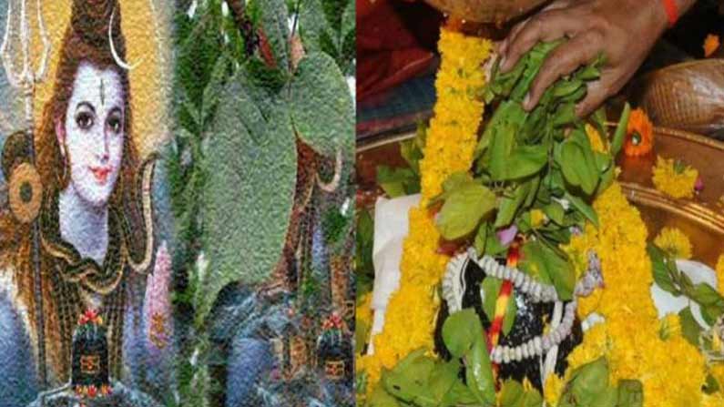 shiva-pooja-with-bilva-patra