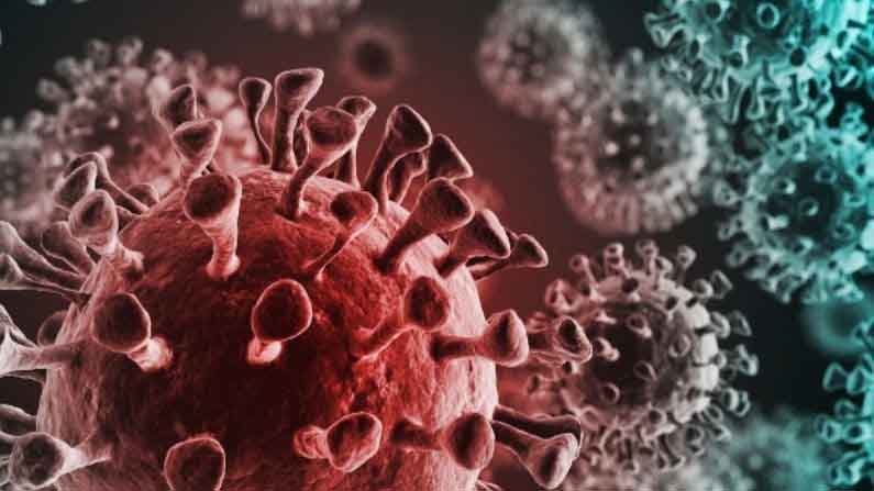 Coronavirus