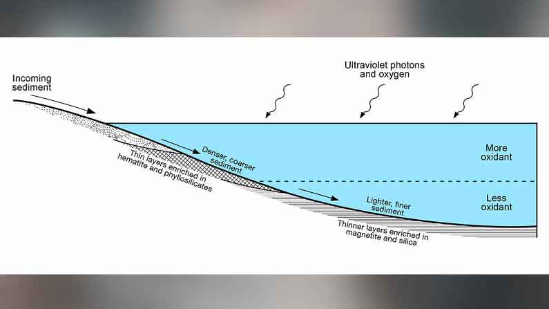 Diagram Of Lake Stratificat