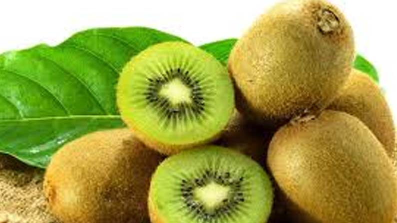 Kiwi 1