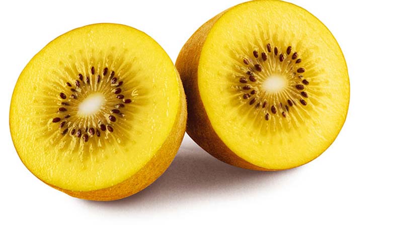 Kiwi 5