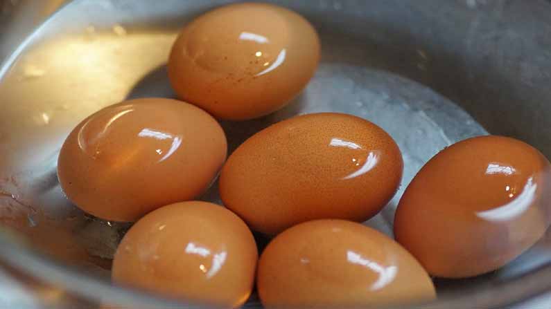 Man Dies Eating Eggs 1