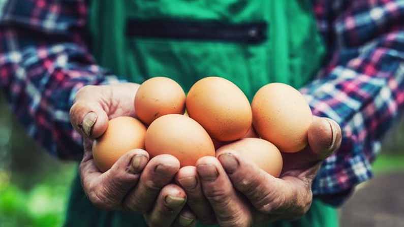 Man Eating Eggs 4