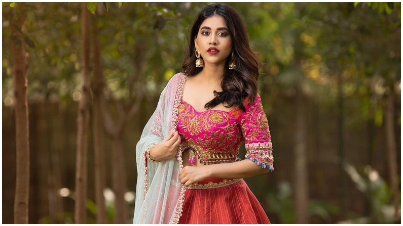 Nabha Natesh (1)