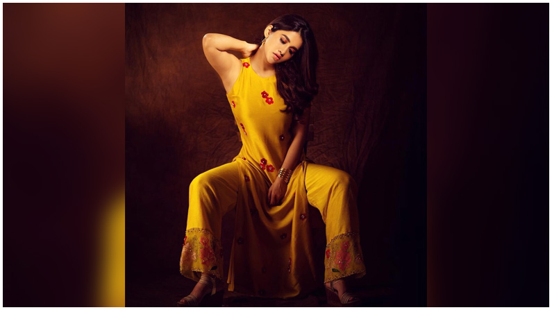 Nabha Natesh (11)