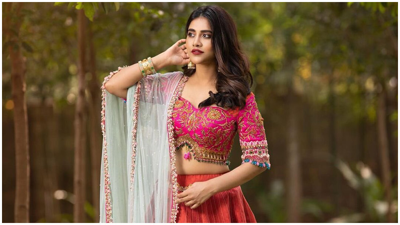 Nabha Natesh (2)