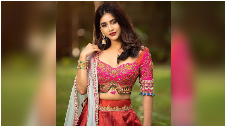 Nabha Natesh (4)