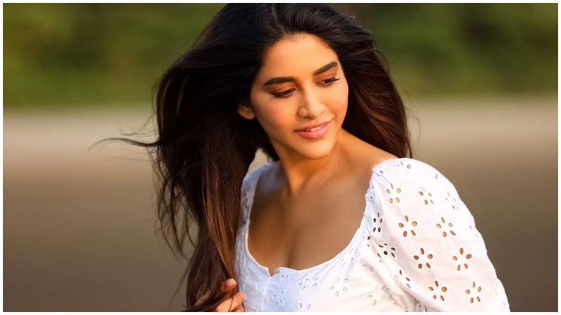 Nabha Natesh (5)