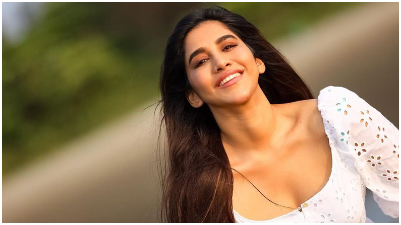 Nabha Natesh (6)