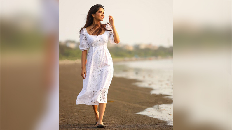 Nabha Natesh (7)