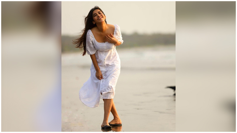 Nabha Natesh (8)