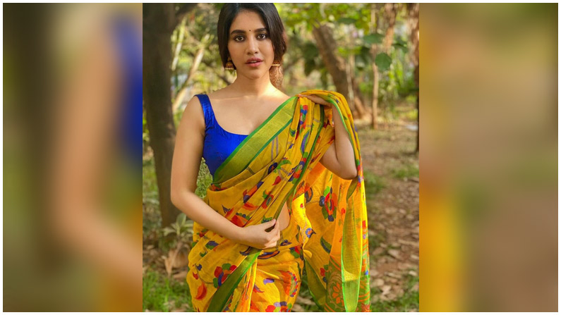 Nabha Natesh (9)