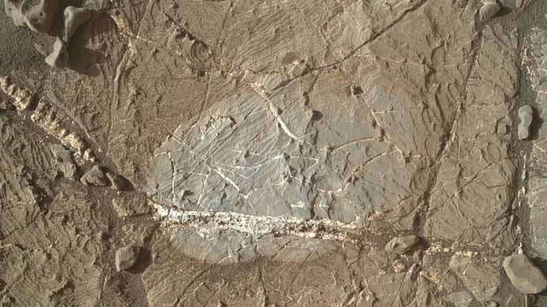 Water Flows On Mars 2