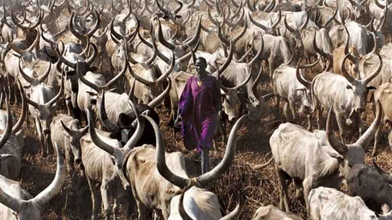 Dinka Tribes