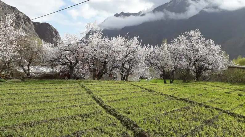 Ladakh Visual Treat