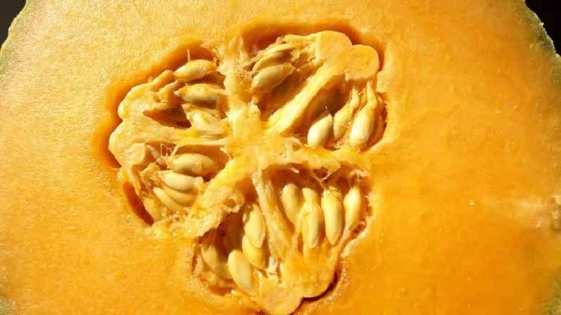 Trypophobia 5