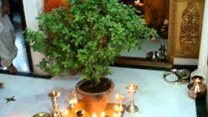 Tulais Pooja