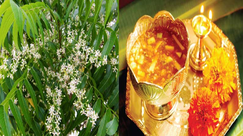 Ugadi Pacchadi Vepapuvvu