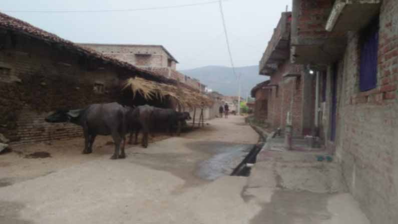 Vegetarian Village