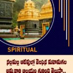 నల్లమల్ల అడవుల్లో వెలసిన మహిమగల అమ్మవారి ఆలయం గురించి తెలుసా..