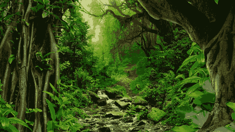 Amazon Forest 2
