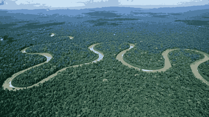 Amazon Forest 3