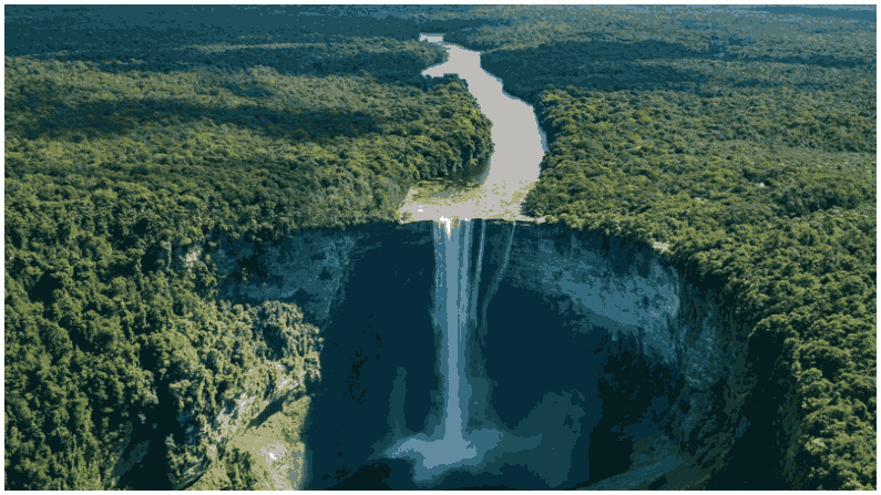 Amazon Forest 7