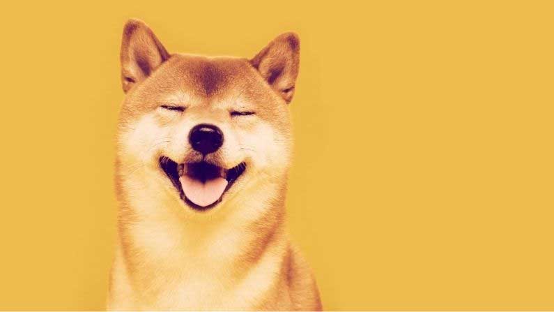 Inu Coin