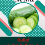 కీరదోసతో మధుమేహానికి చెక్ పెట్టండి..