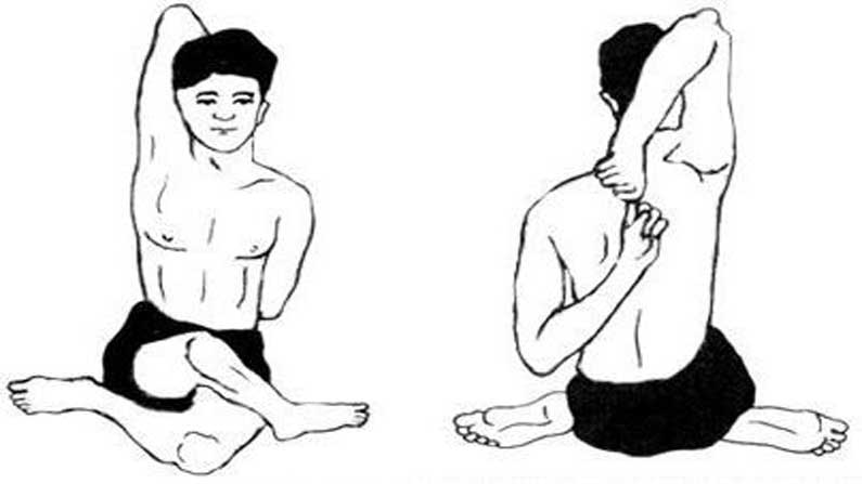 Gomukhasana Benefits In Telugu