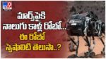 Meet SpaceBok: మార్స్‌పైకి నాలుగు కాళ్ల రోబో... ఈ రోబో ఏం చేస్తుందో తెలుసా..?? ( వీడియో )
