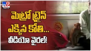 Viral Video: మెట్రో ట్రైన్‌లో బుద్దిగా ప్ర‌యాణం చేసిన కోతి.. నెట్టింట వైరల్ వీడియో...