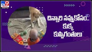 చిన్నారి నవ్వుకోసం కుక్క పిల్ల కుప్పి గంతులు..ట్రెండ్ అవుతున్న ఫన్నీ వీడియో :dog make fun viral video.