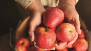 Red Apple: ఎర్రని యాపిల్ కు అంత రంగు ఎలా వస్తుందో తెలుసా? వేడి ఎక్కువైతే యాపిల్ పండు రంగు పోతుందా?