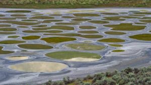 Spotted Lake : వేసవిలో ఈ సరస్సు నిండా వలయాలే.. ఒకొక్క వలయం ఒక్కోరంగులో దర్శనం ఇచ్చే వింత లేక్ ఎక్కడో తెలుసా